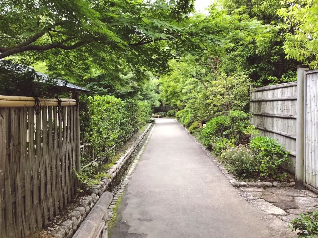 名古屋可以去哪里旅游,名古屋还能去吗