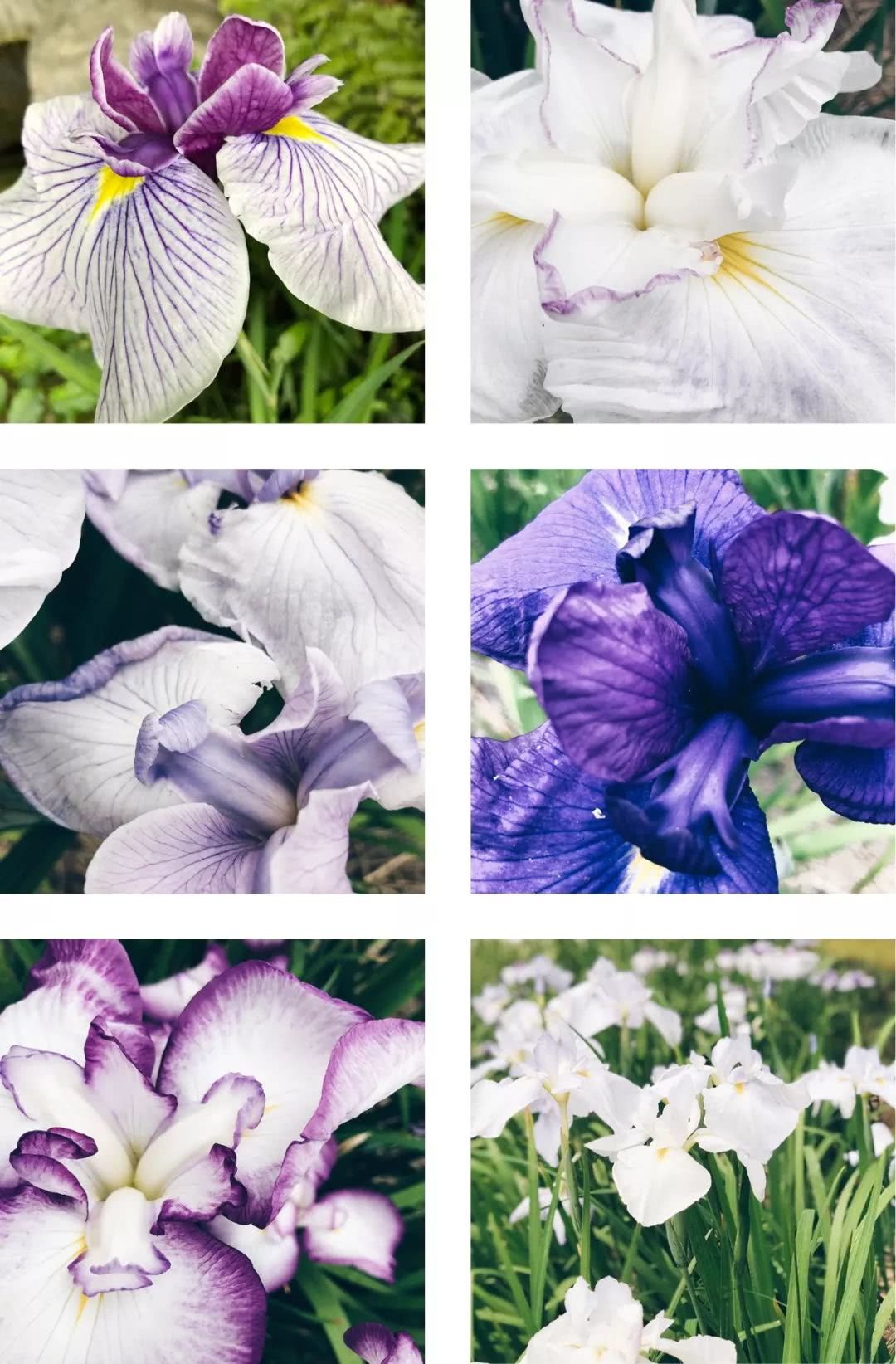 名古屋攻略大全,名古屋有什么玩的