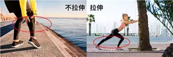 腿型怎样判断是粗腿还是细腿,腿型好看的肌肉腿