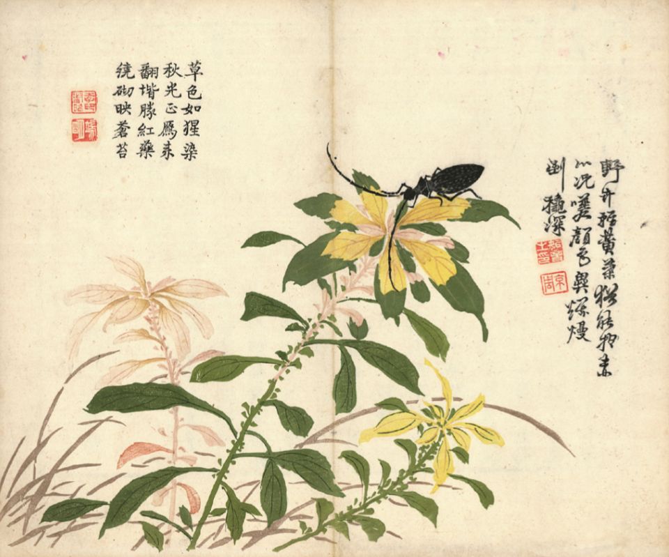 《芥子园画传》：精心酝酿的大手笔