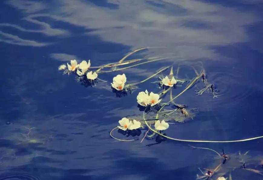 与锦华国旅携手揭秘高原母亲湖-泸沽湖神秘面纱