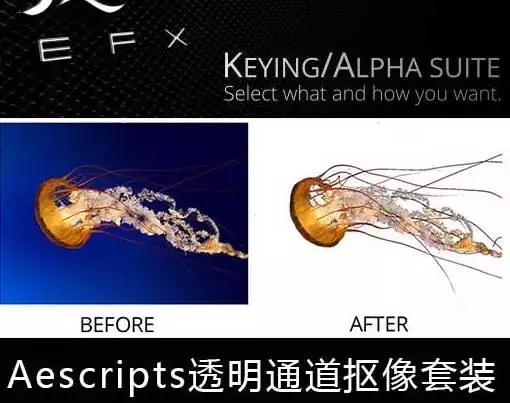 初学ae遇到问题,ae新手必须知道的100个细节