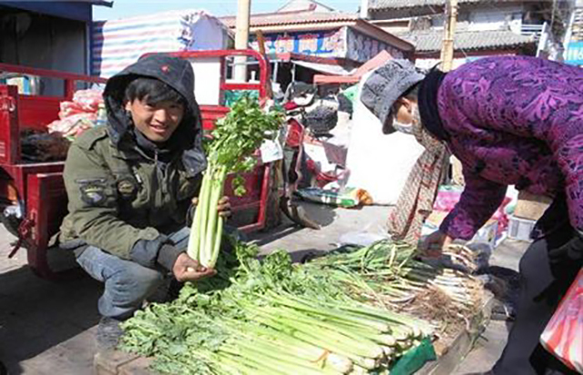 农民卖菜一年挣多少钱,农村集市卖菜一天能挣多少