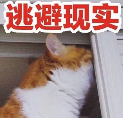 「城事」2018已过半！6月新区最新房价出炉！看看你家涨多少？