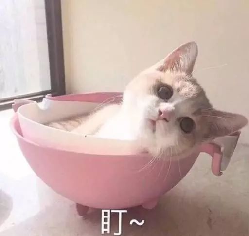 「城事」2018已过半！6月新区最新房价出炉！看看你家涨多少？