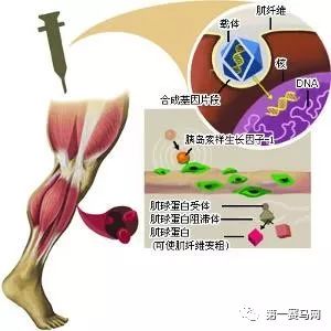 2023世界禁毒日主题是什么,世界禁毒日为什么是6.26