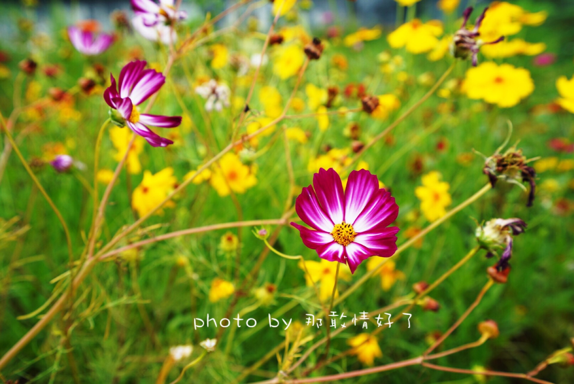 滁州小众的地方,滁州小众