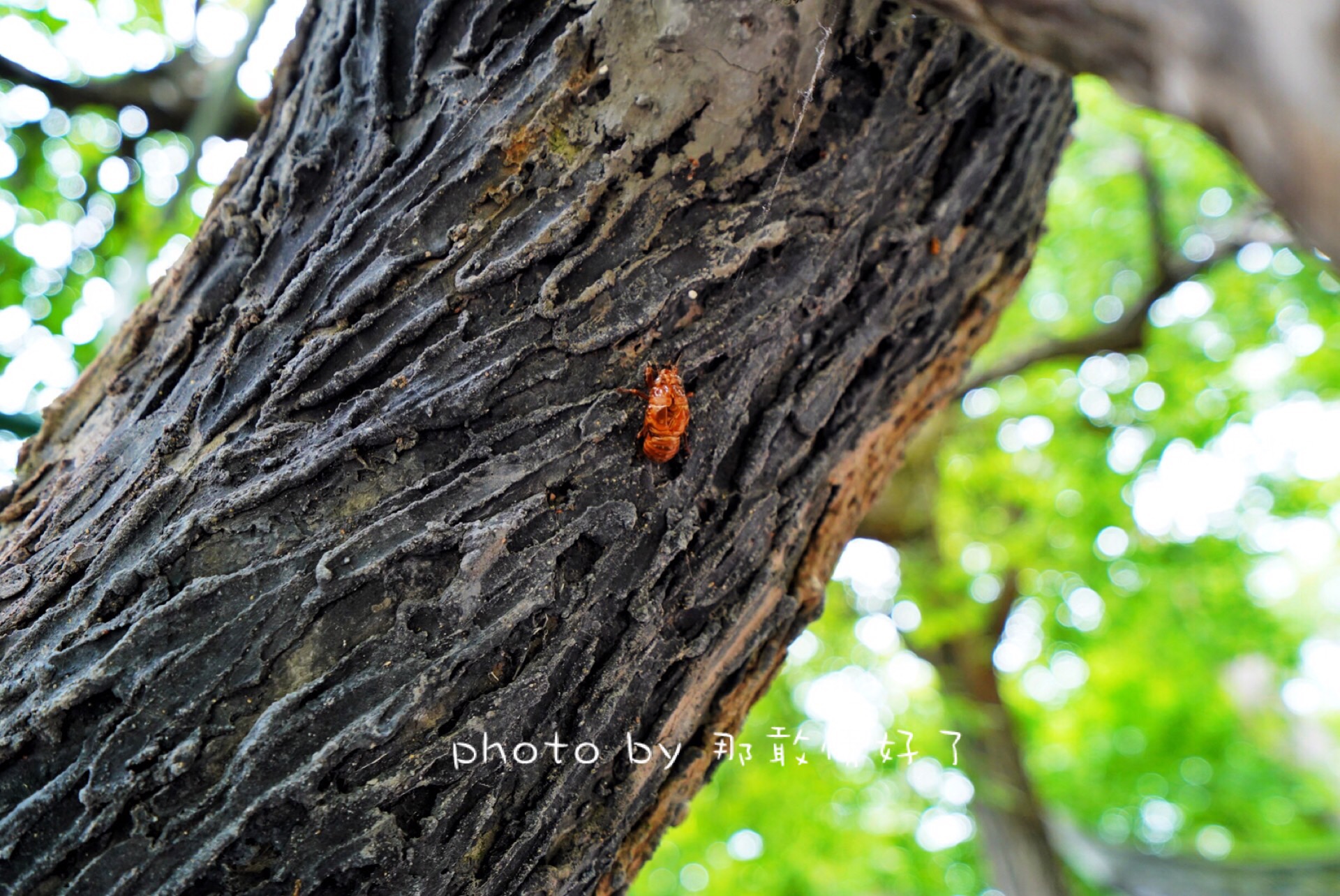 滁州小众的地方,滁州小众