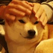 面试问井盖为什么是圆的,井盖为什么是圆的简单回答