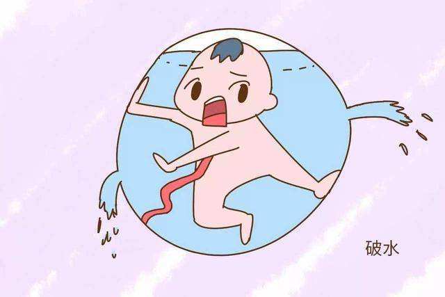 临产时破水了内诊要点,孕期发动的前兆是破水还是出血