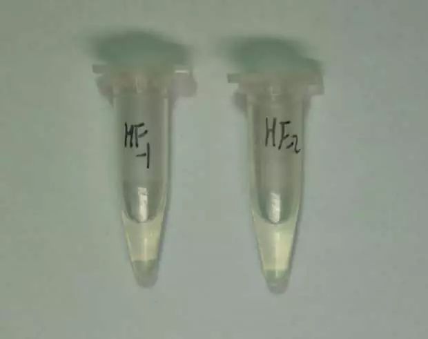 云龙网络禁毒宣传,中国禁毒网六月份禁毒宣传