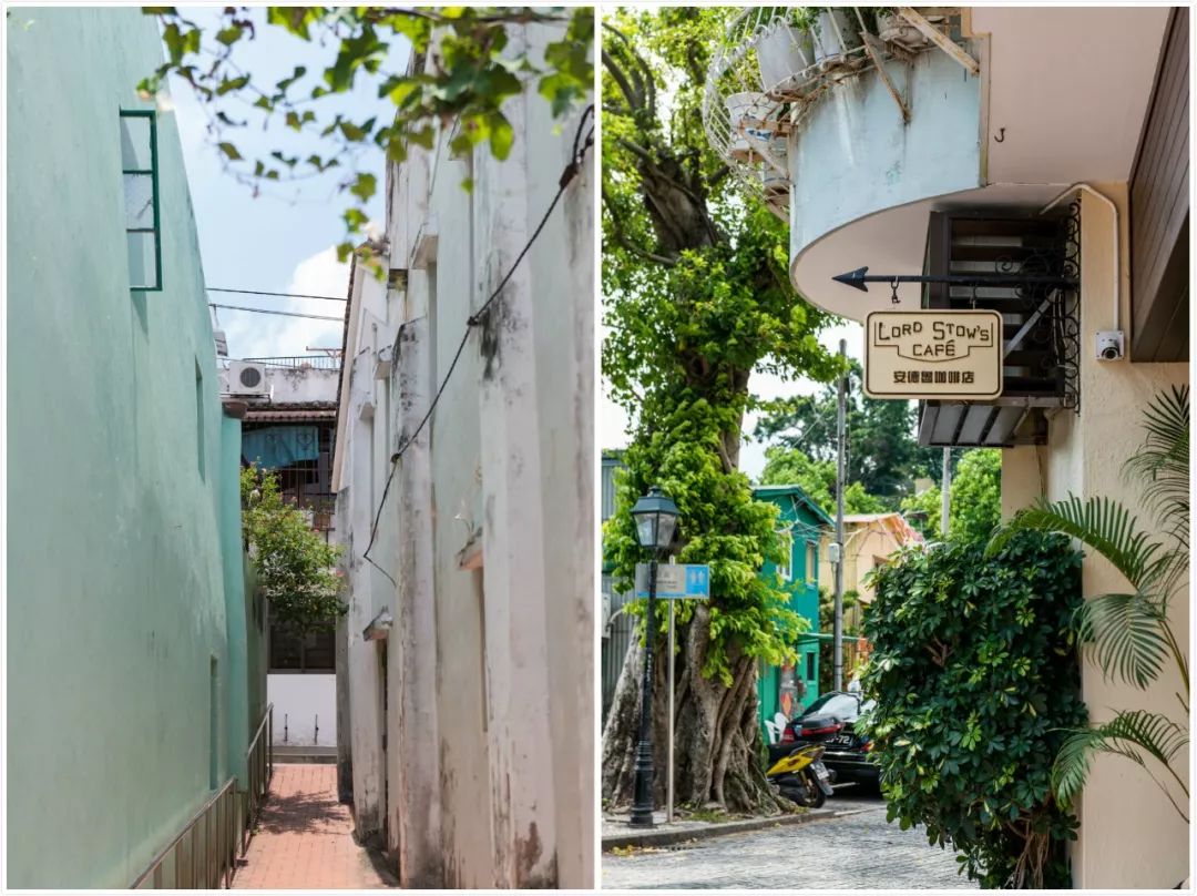 沉醉于澳门的纸醉金迷,纸醉金迷的澳门你去得起吗