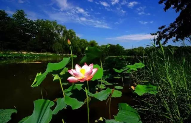 未来辰溪县,下一站溆浦