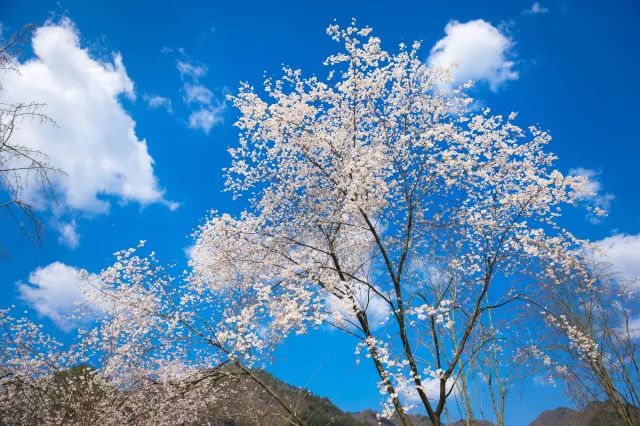 未来辰溪县,下一站溆浦
