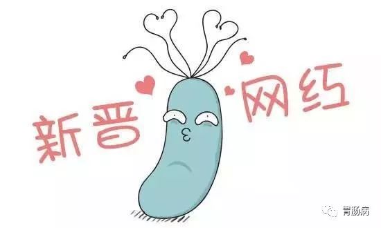 幽门螺旋杆菌患者自述,幽门螺杆菌的基础实验