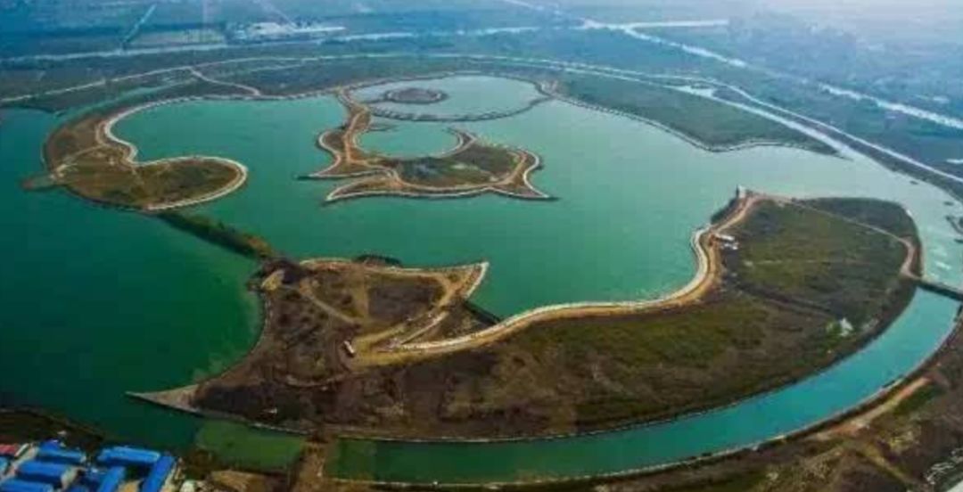 卢俊接受采访,卢俊的全部视频