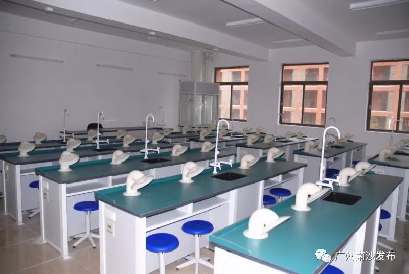 2023广州外国语高考喜报,广州市开发区外国语学校高考成绩