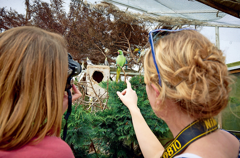 单反入门相机推荐,入门数码单反相机