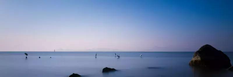 闹市中的一寸天堂,摄影师胡可镜头下的仙境——深圳湾