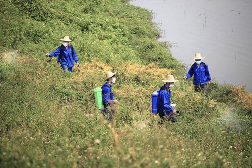 高温天气如何打药,夏季高温打药的技巧