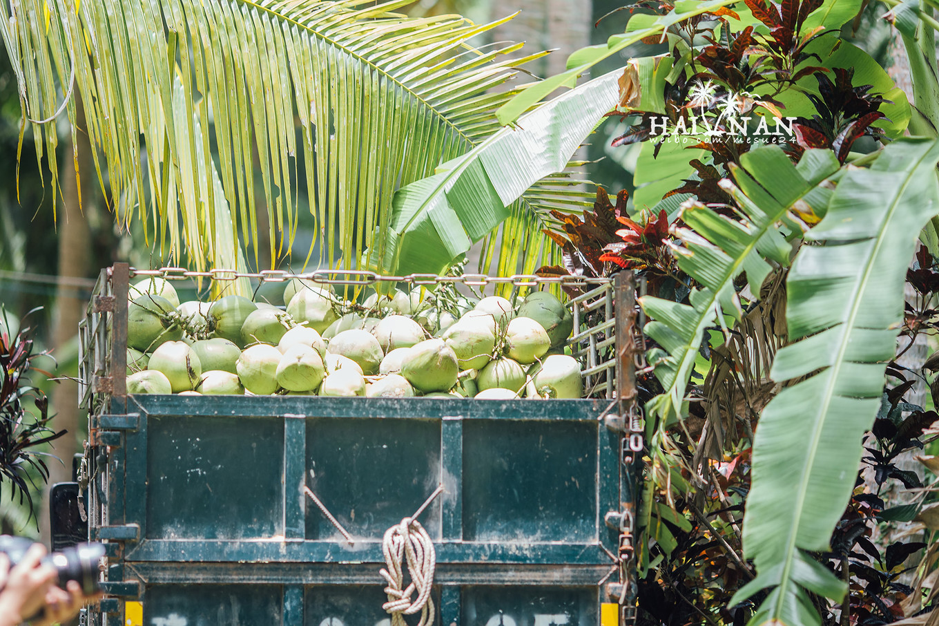 从日出到星辰大海,这里是海南文昌——今夕传媒旅行家出品