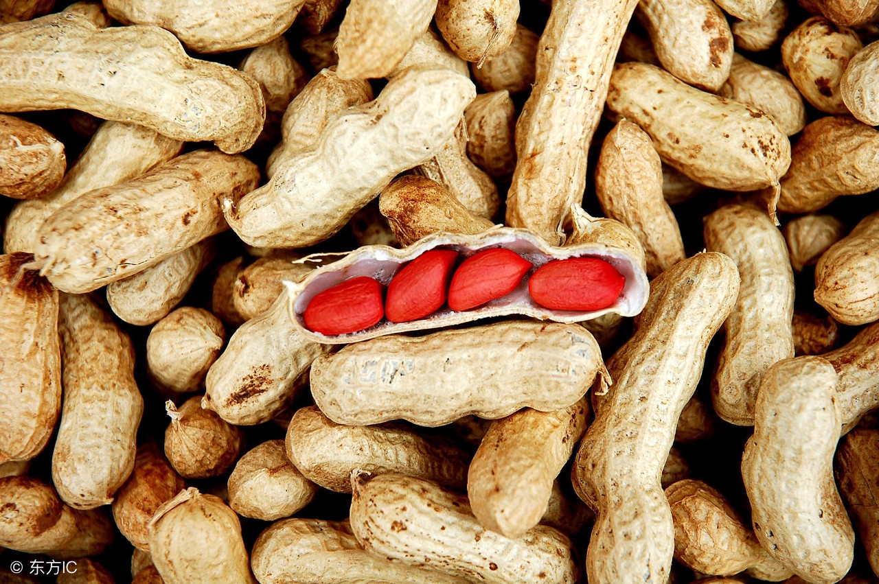 女人就得活的漂亮！每天1碗，补气养血，喝出好气色！