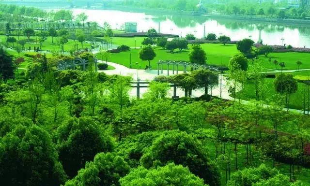 义乌江滨绿廊景点,义乌江滨绿廊公园绣球花