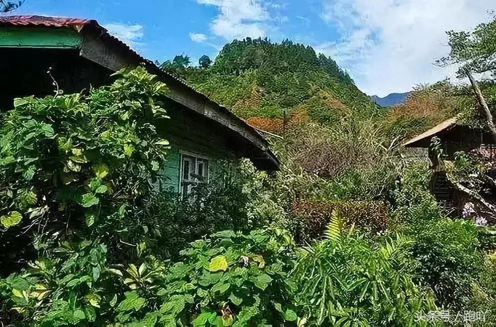 单次世界杯进球最多的国家,世界杯进球最多一场的国家