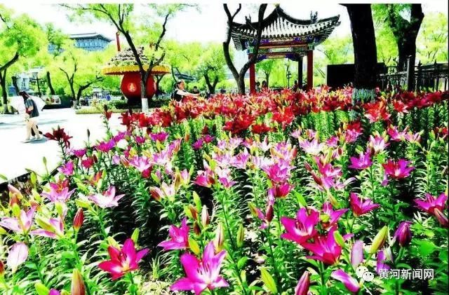 一波福利回馈新老客户,一波省钱福利到来