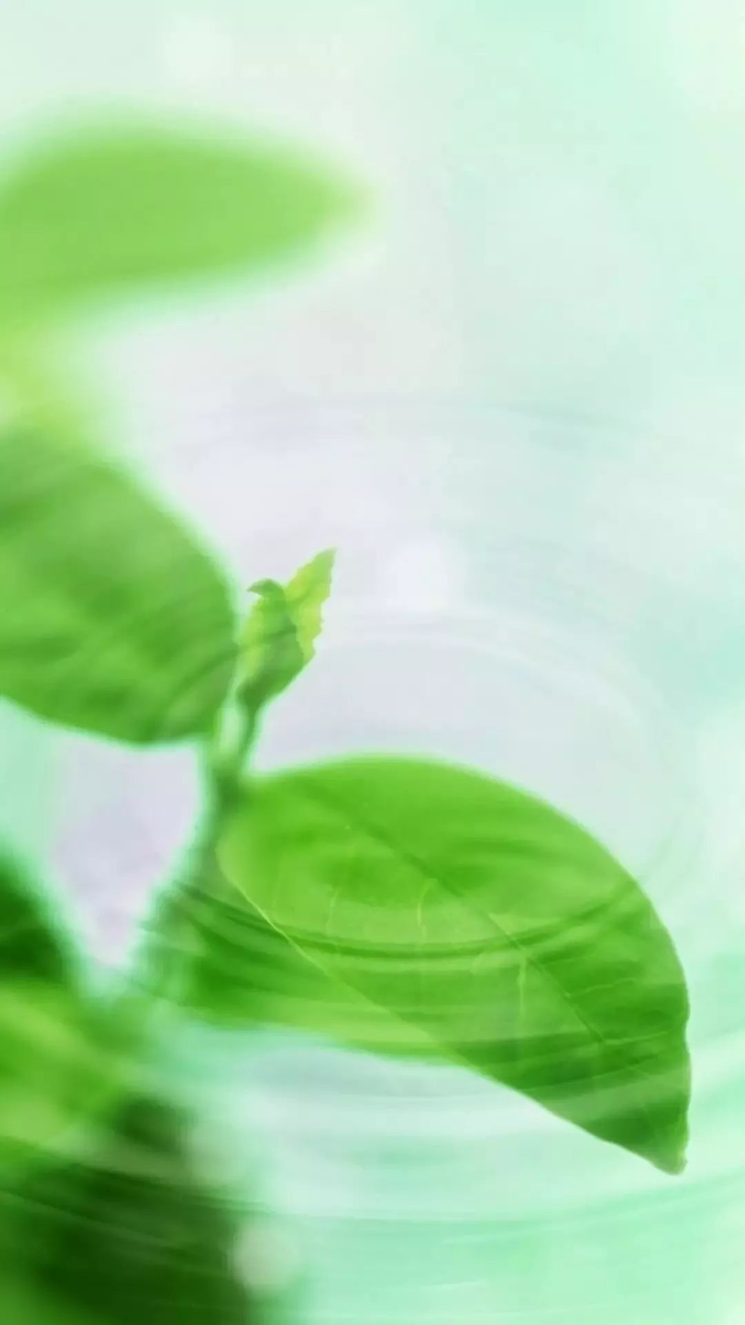 微信聊天护眼背景图高清大图,护眼背景图微信聊天背景