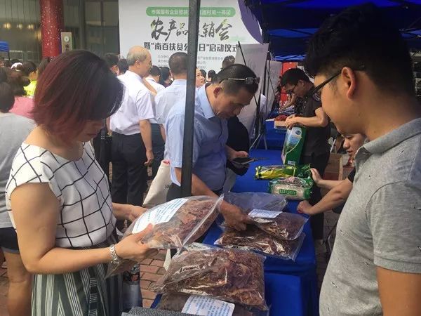 百年荔枝树广西,百年香荔树出售