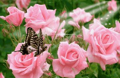 早上好微信动态表情图片大全,早上好微信动态表情精美图片大全