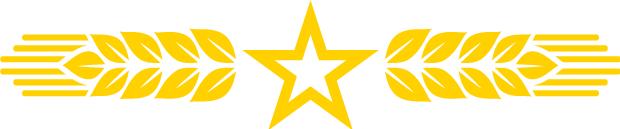 看完七一后提交的入党申请书,建党一百周年入党申请书