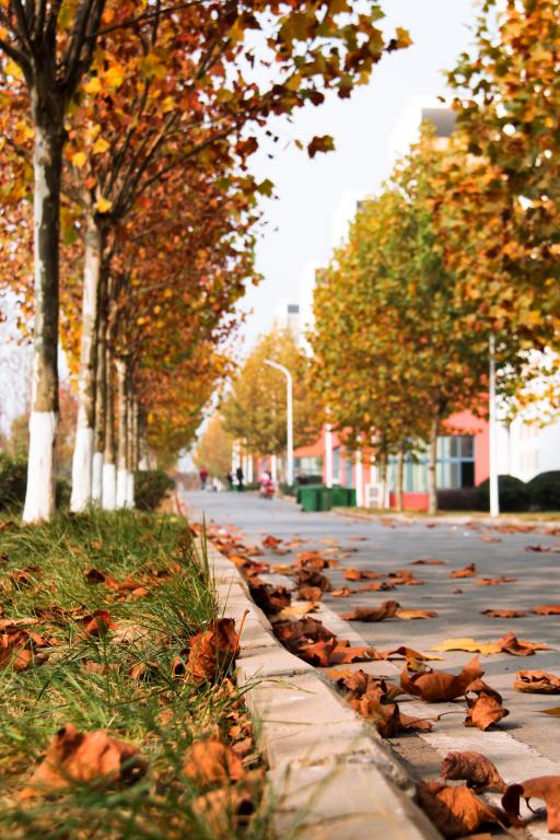 这是一个简单的填空题,填空什么的教室