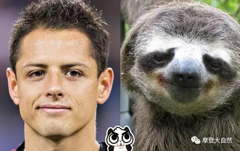 当c罗是什么体验,当c罗扮成流浪汉