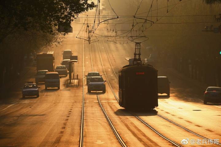 夏日的大连三寰牧场,大连三寰牧场和英歌石植物园