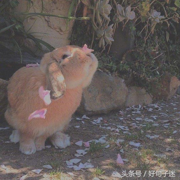 心累压抑憋屈的句子发朋友圈说说,写给心累的自己说说句句让人心酸