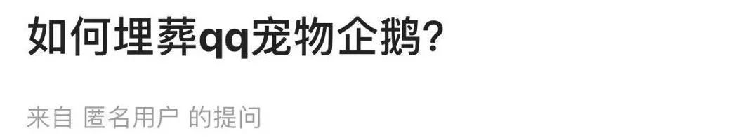 qq宠物为什么要停运,qq宠物停运还能放出宠物吗