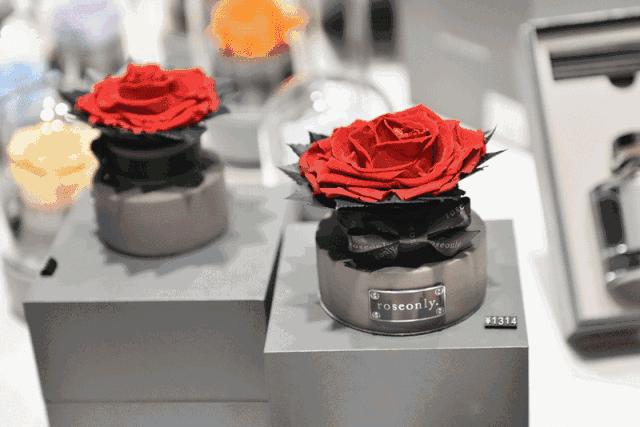 roseonly香港官网,roseonly重庆专柜