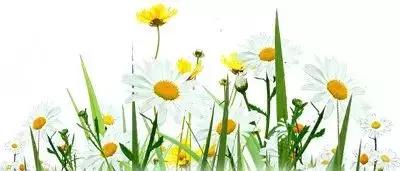 知音胜过贵贱,朋友无贵贱知音胜万金