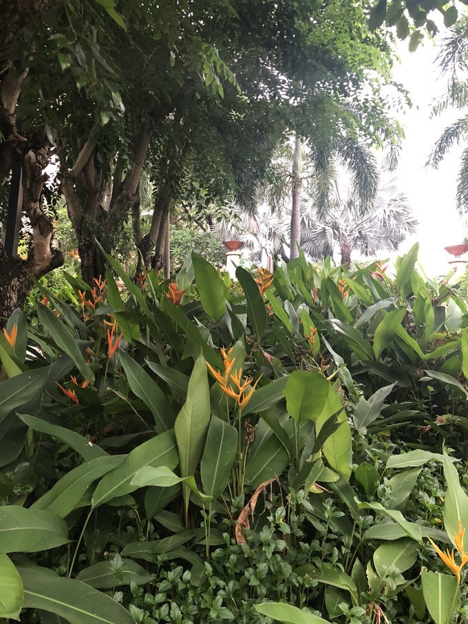 带你到三亚感受不一样的美食美景,三亚之行怎能错过这些美食和美景