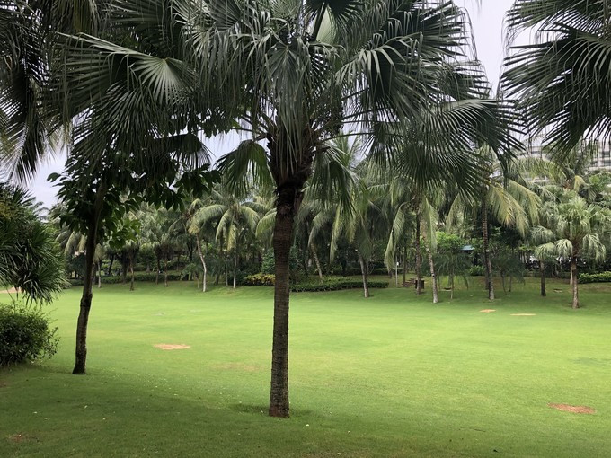 带你到三亚感受不一样的美食美景,三亚之行怎能错过这些美食和美景