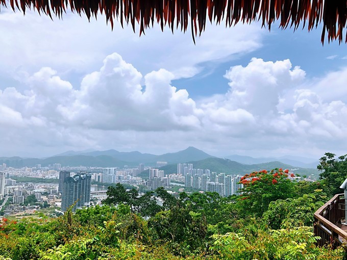 带你到三亚感受不一样的美食美景,三亚之行怎能错过这些美食和美景