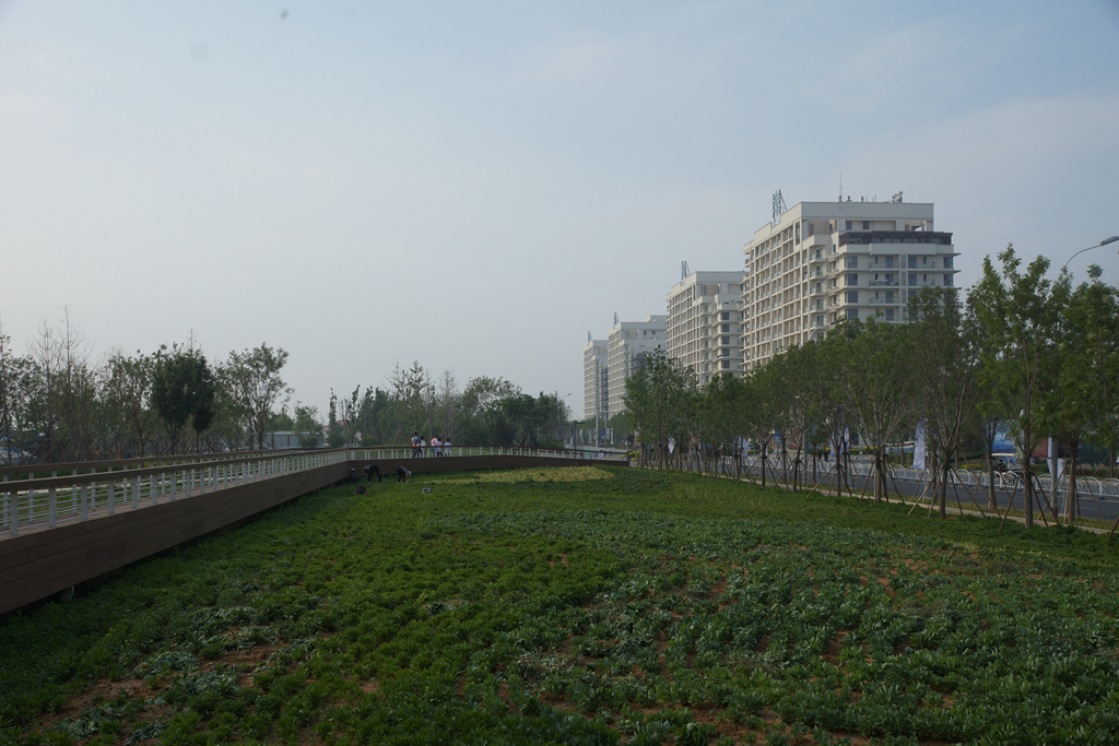 北戴河2天一夜亲子游,北戴河两天两夜亲子游