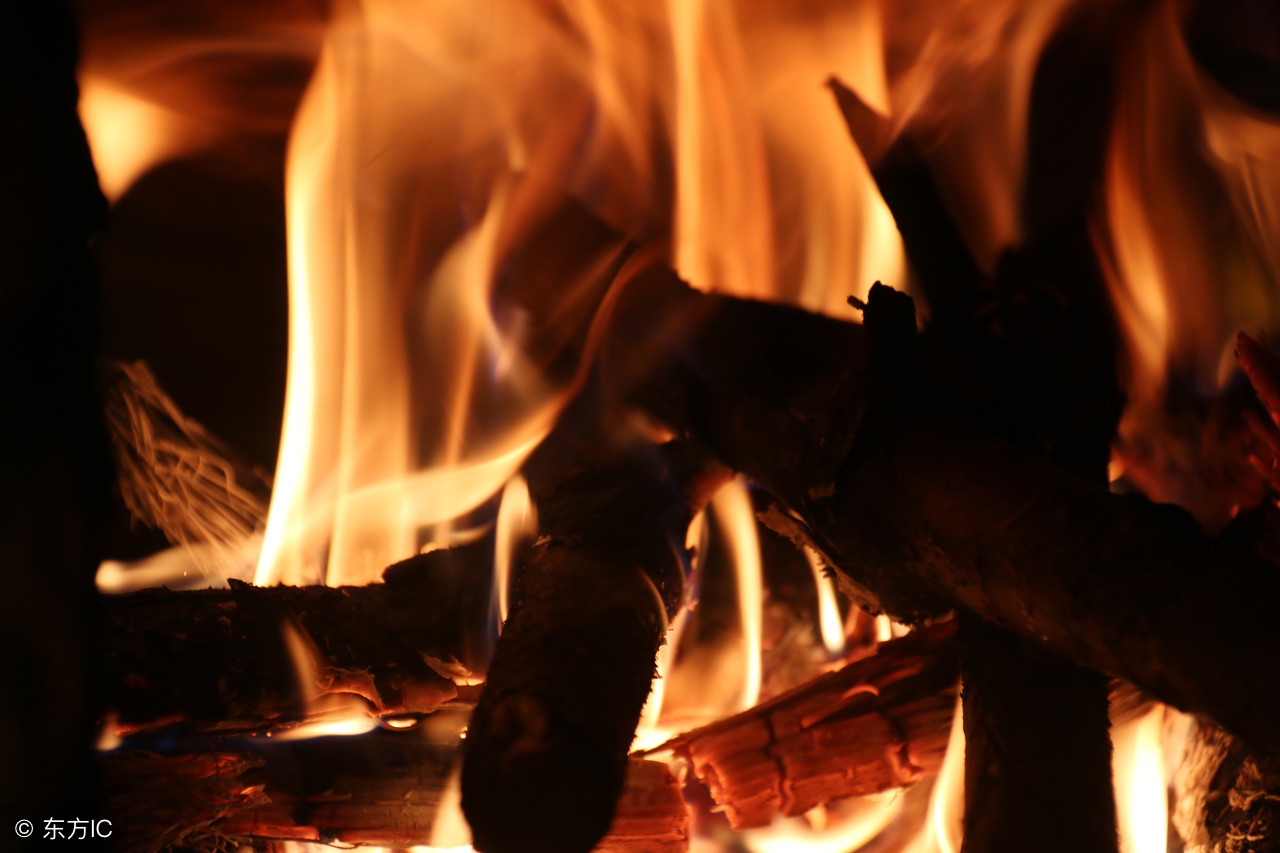 属兔和狗的和什么属相不合,生肖狗和兔相合一般是什么时辰