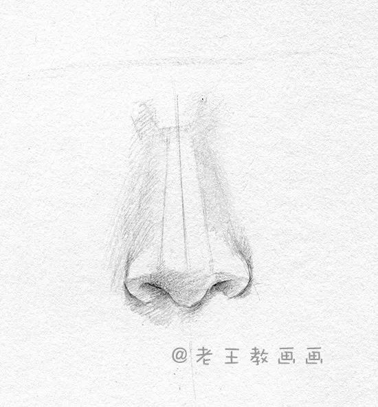 画鼻子教程素描,画鼻子教程动漫