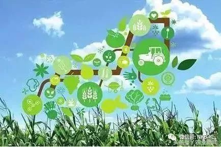 互联网农业是怎么做的视频,互联网农业创业技巧大全