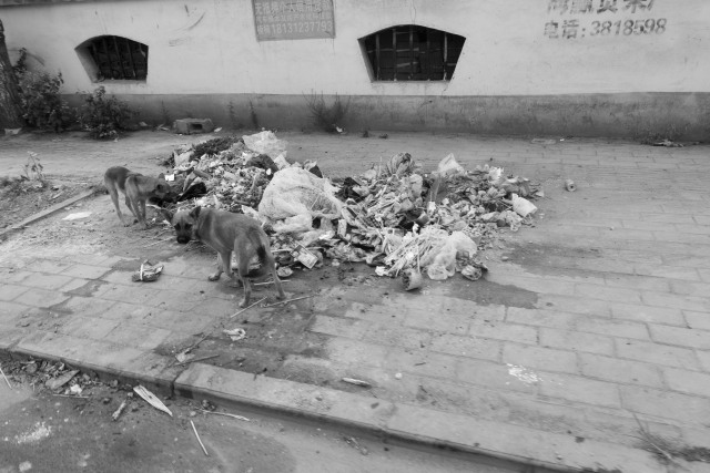 千里走单第一章,千里走单记第三章第八关