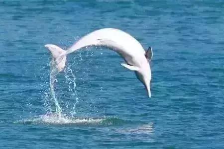 有一个地方,用镜头记录浪漫美景,一个见证幸福的东方爱情海!