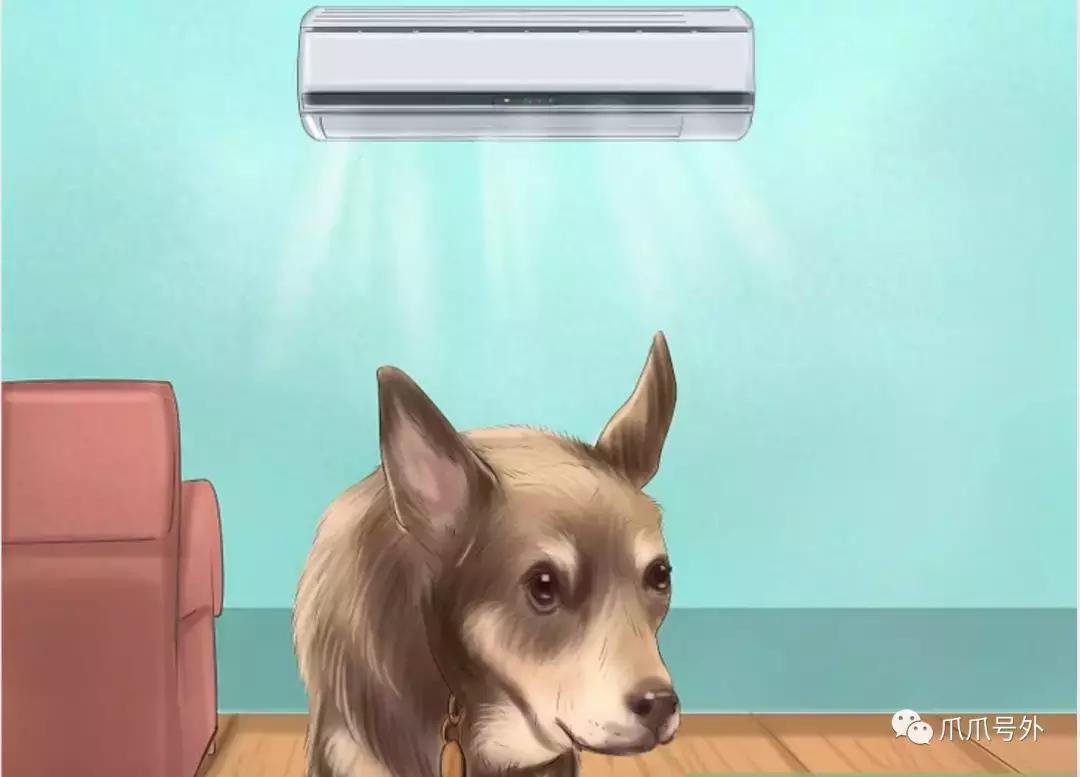 狗狗中暑该怎么拯救它,怎么看狗狗中暑